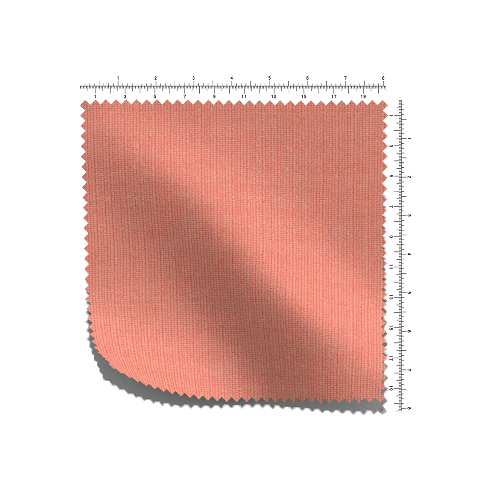 C/T/S fransk RIB